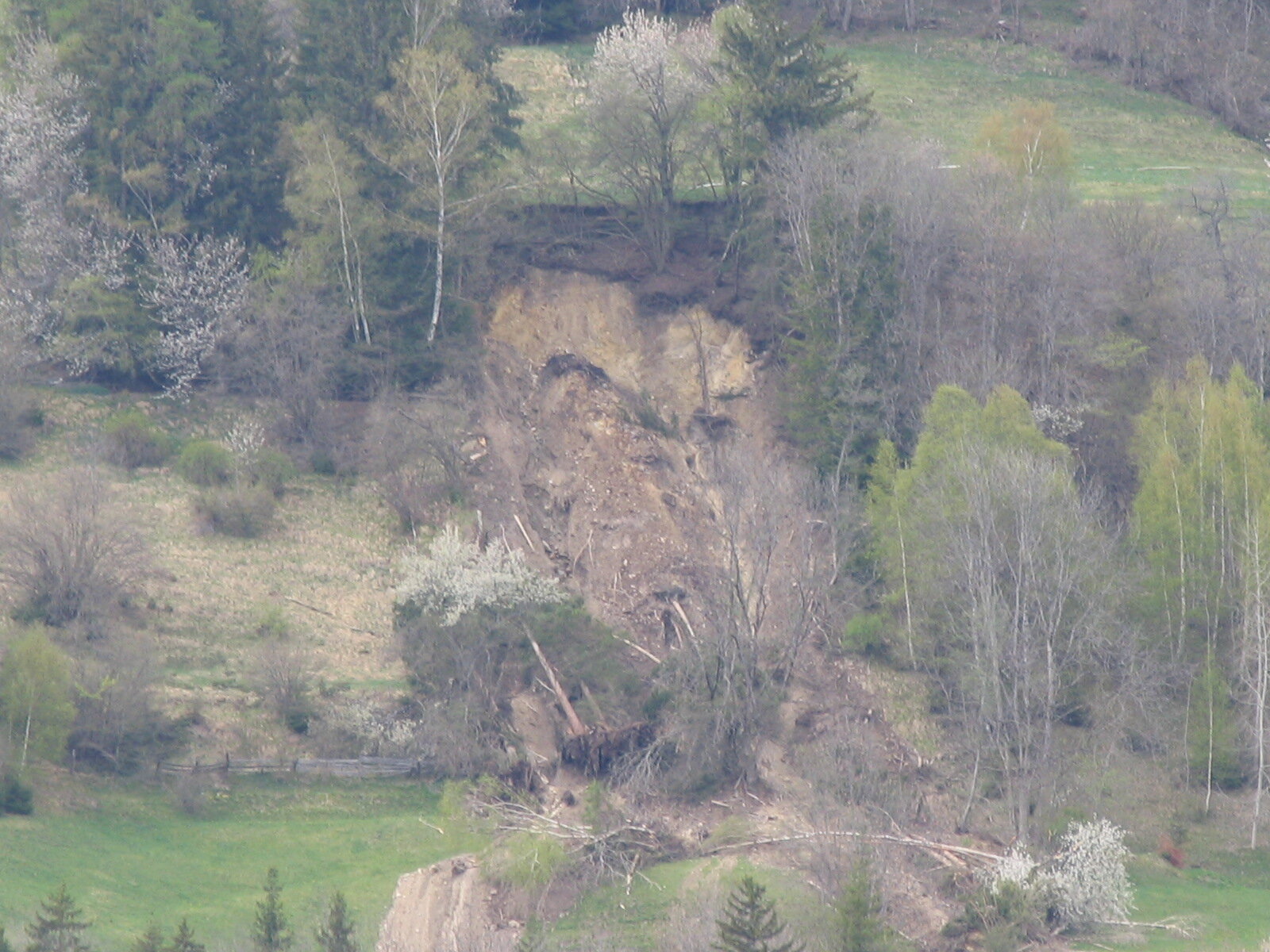 Möslebach trat übers Ufer