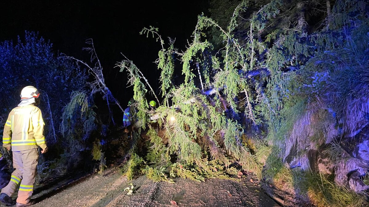 Umgestürzter Baum nach Unwetter