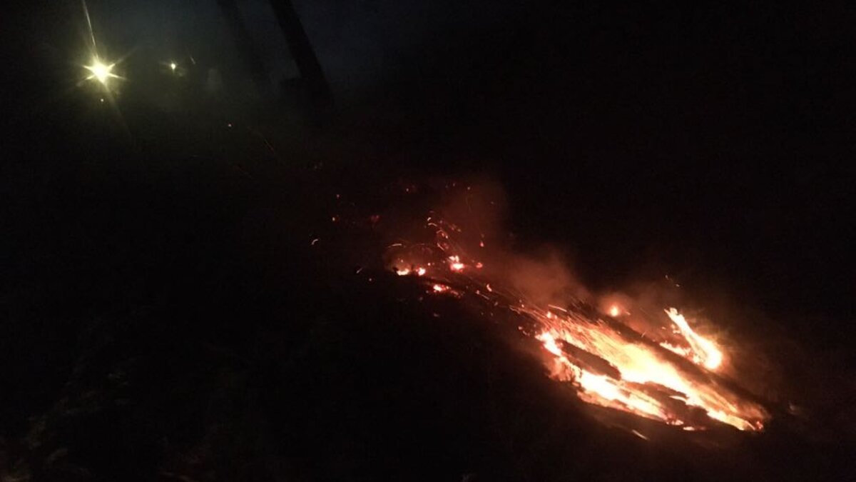 Waldbrand Lehenwald