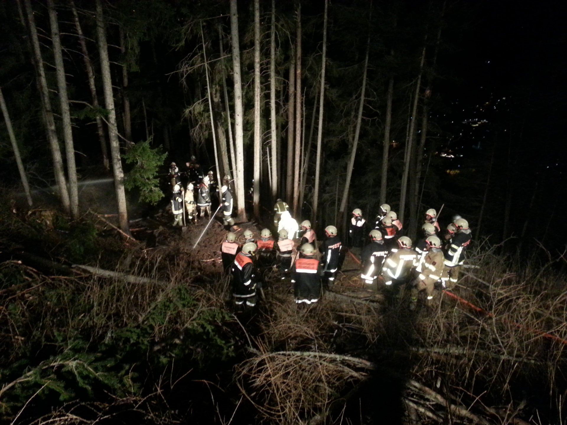 Waldbrand am Burgschrofen