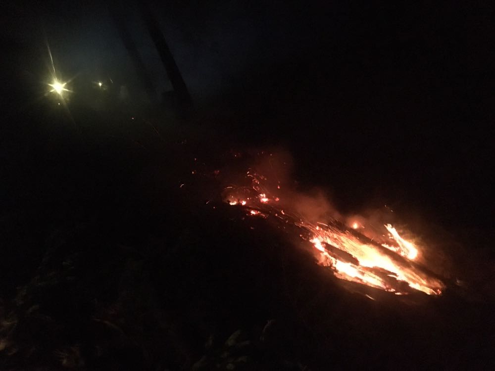 Waldbrand Lehenwald
