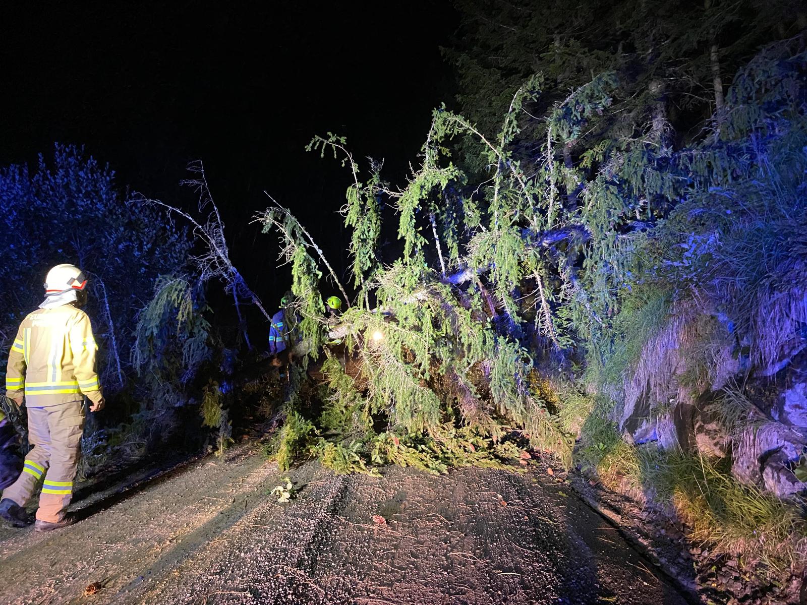 Umgestürzter Baum nach Unwetter