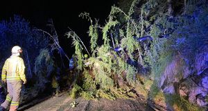 Umgestürzter Baum nach Unwetter